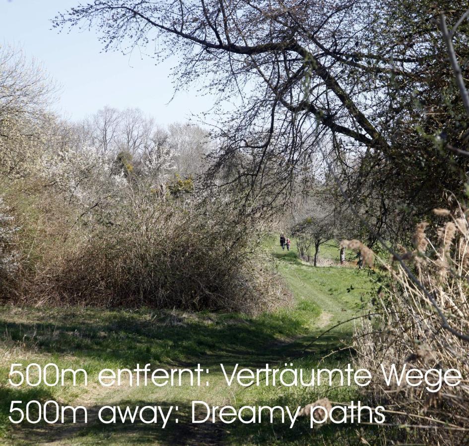 Passivhaus 750M Vom Bodensee -- 2X E-Bike Inklusive -- Neubau 2019 Am Ortsrand Ohningen Exteriör bild