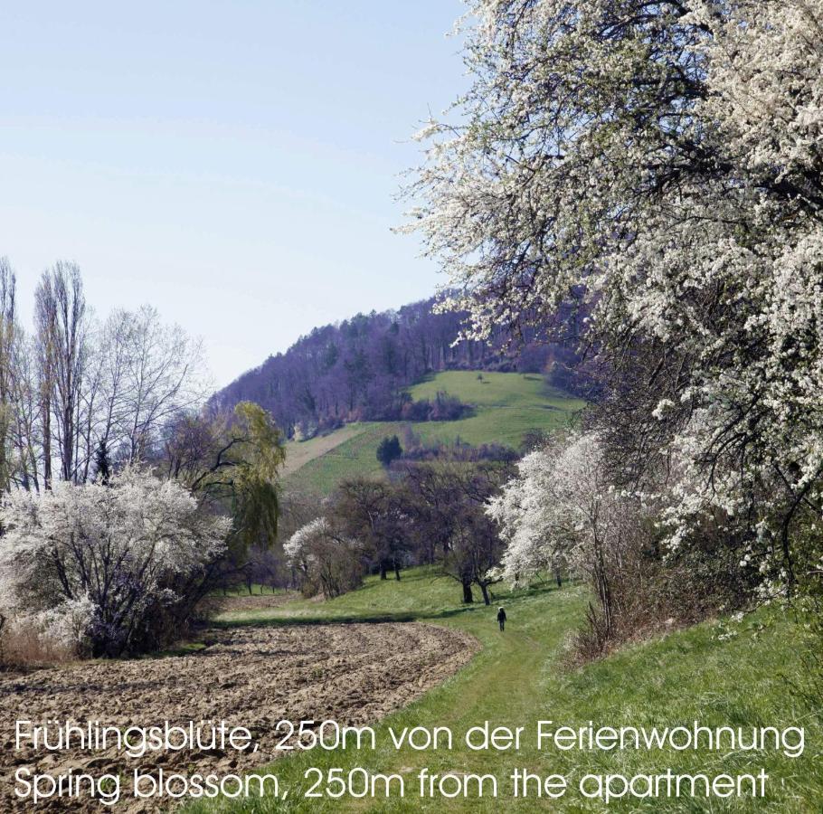 Passivhaus 750M Vom Bodensee -- 2X E-Bike Inklusive -- Neubau 2019 Am Ortsrand Ohningen Exteriör bild